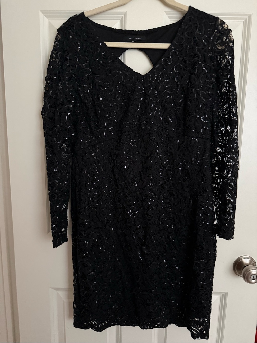 Blu Sage Black Sequin Lace Mini Dress